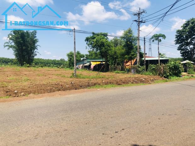 SANG LẠI NỀN ĐẤT 46X50=2300M2 THỔ CƯ SHR CẠNH KCN, CHỢ DÂN CƯ ĐÔNG GIÁ 90 TRIỆU/M NGANG