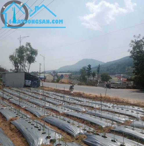 2 Mặt tiền quốc lộ 20, hiệp an, đức trọng cũ, lâm đồng