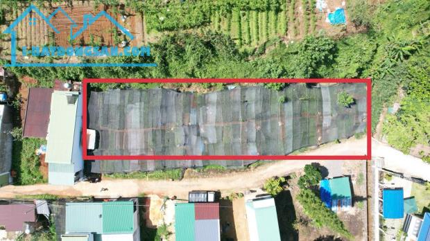 🆘Bán đất Quốc Lộ 20, Lộc Châu Phường 3 Bảo Lộc. THỔ CƯ 550m2
