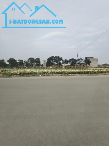 Bán lô đất DT 225M.ngang 9 M TĐC Nam Hải Hải An