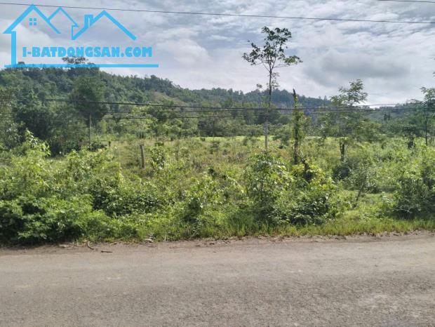 Đất sào làm kho bãi , nhà xưởng mặt tiền đường nhựa
