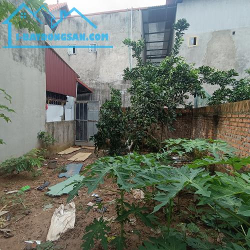 GIÁ 2.3 TỶ, GẦN CHỢ SINH VIÊN, BÁN 50M2 ĐẤT LỆ CHI, CẠNH ĐH CÔNG NGHIỆP, THƯƠNG MẠI HN