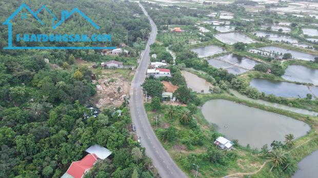 CHỦ KẸT SỔ Ở NGÂN HÀNG, ĐẾN ĐỢT ĐÁO HẠN RA NHANH LÔ ĐẤT MẶT TIỀN DT702
