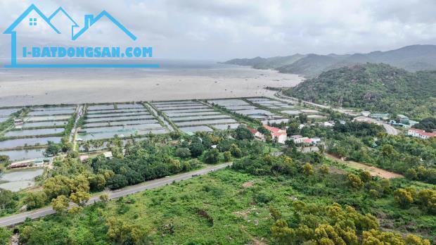 Cần bán gấp lô đất chủ ngộp 5100m2 giá 7 tỷ đối diện Vin Homes Cam Ranh Khánh Hoà