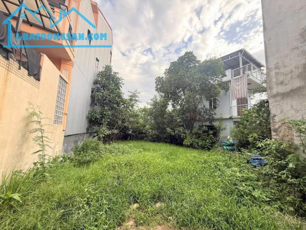 BÁN ĐẤT MẶT TIỀN 253 TRẦN PHÚ – TRUNG TÂM TP HUẾ