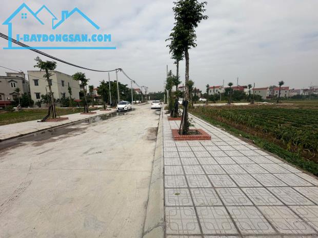 Đất đấu giá Đại Xuyên, Phú Xuyên tại cực đẹp giá tốt