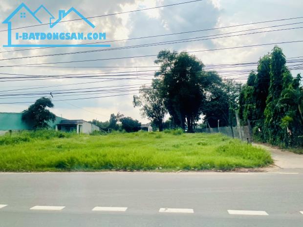 SANG RẺ (26X58=1508M2) THỔ CƯ SHR MT NHỰA NGAY CHỢ, TRƯỜNG HỌC DÂN ĐÔNG GIÁ 750 TRIỆU