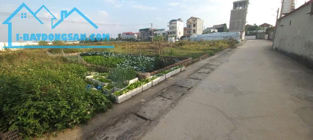 🔥 BÁN ĐẤU GIÁ X1 NGUYÊN KHÊ – PHÚC THỊNH – 61M² – MT 4,5M – NGÕ THÔNG Ô TÔ TRÁNH