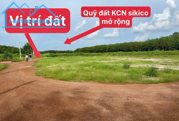 Chủ bán góc 2 mặt tiền 359m2 TP HCM giá 420tr.