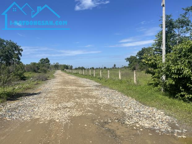 ✅ Cho thuê đất cây trồng huyện Hàm Thuận Nam tỉnh Bình Thuận