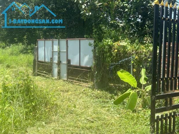 Bán 11.900m2 đất Tân An - Vĩnh Cữu- Đồng Nai. Sổ riêng có 300m thổ cư. Giá 10,1 tỷ