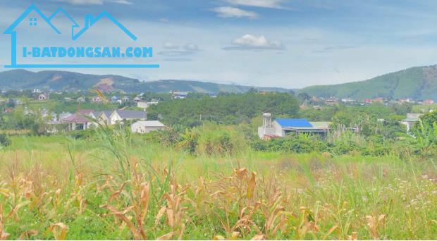 6,9 sào khu biệt thự nghỉ dưỡng, thuộc gia lâm, nam ban, lâm hà