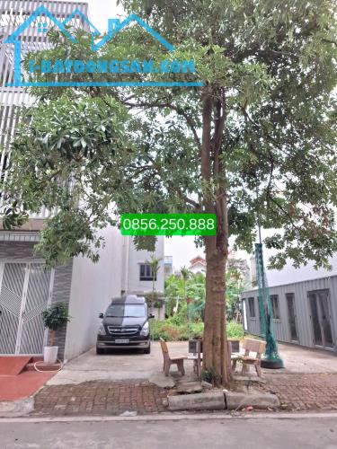 Lô đất siêu phẩm rất đẹp mặt phố Lưu Chí Hiếu - Đô Thị Thống Nhất - 72m2; 4,15 tỷ