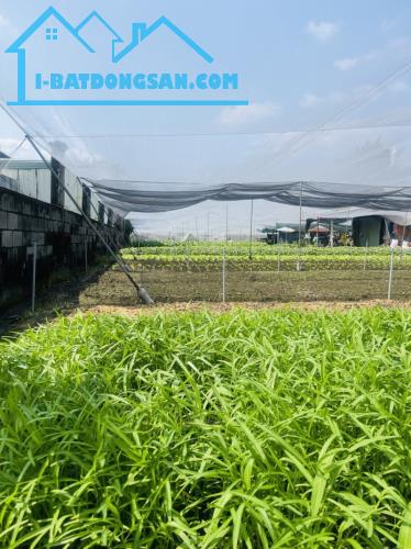 Lô đất gần mặt tiền Song Hành ,Tân Hiệp DT 2018m2. Giá chỉ 26 tỷ (TL)