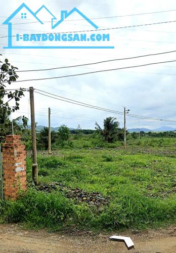 Đất Ngộp View Suối 4.000m2CLN ngang 27m,giá 1,4 tỷ-Tân Lập,gần QL1A
