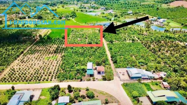 Bán đất đường xe hơi Nguyễn Bỉnh Khiêm, Thôn 3, Xã Ea Kar, Đắc Lắc