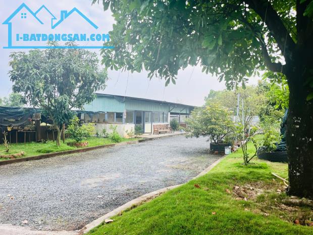 Nhà Vườn 1.300m2 Bình Chánh giá chỉ 5.65 tỷ.