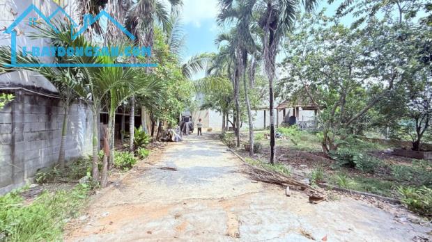 Lô đất đẹp mặt tiền Tân Hiệp 29 ,Hóc Môn,DT 218 m2 ,Giá chỉ 3.8 tỉ (TL)