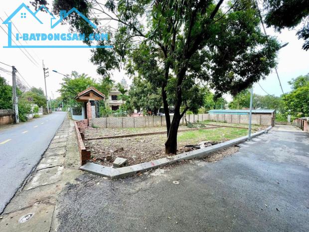 HÀNG HIẾM CỔ ĐÔNG – 128M² – KINH DOANH ĐỈNH – GIÁ TỐT
