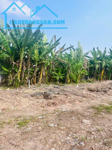 1.412m2 nhà vườn Bình Chánh có 400m2 đất ở giá hơn 13 đồng