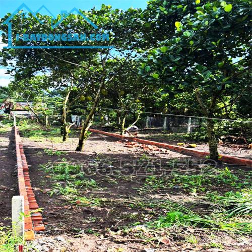 NGAY NGÃ 3 ÔNG PHÚC, P BẢO VINH, ĐN | 5M×24,8M, SỔ RIÊNG, FULL THỔ CƯ | GIÁ ĐẦU TƯ!