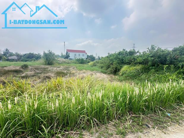 Bán đất mặt tiền đường Rừng Sác , đối diện cây xăng Hiệp Quế , Bình Khánh, Cần Giờ