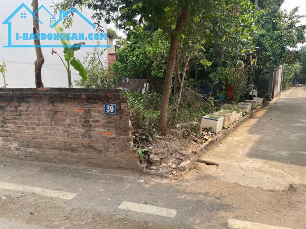 Bán nhanh lô góc 54.1m2 trục chính Tiên Tân, Hồng Hà, Đan Phượng thông ô tô tránh giá rẻ