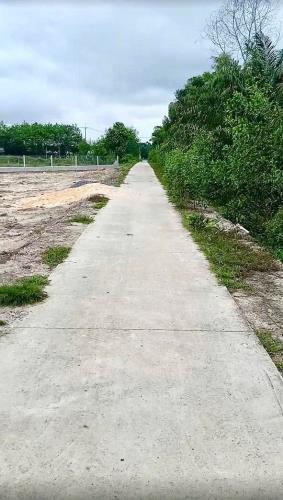 Cần bán lô đất đường Cây Gõ, Xã An Phú, Củ Chi 2,4 tỷ