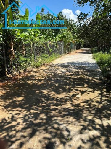 Bán đất Diên Lâm full thổ cư gần Hương Lộ 39 - ngang 40 x dài 20m vuông vắn tách được 8 lô