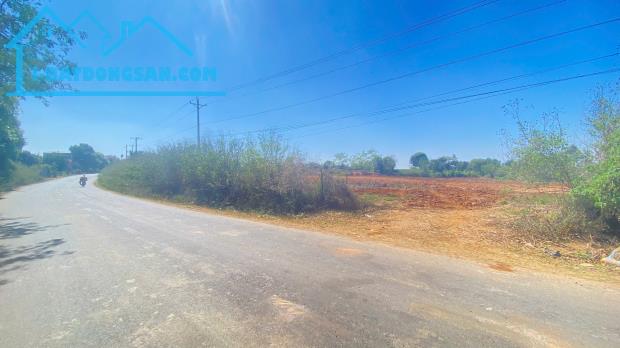 1ha mặt tiền nhựa chính vào thác Pongour, phú hội cũ, đức trọng, lâm đồng