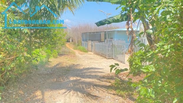 1,7 sào hẻm ql27, cây số 5, n'thôn cũ, đức trọng, lâm đồng