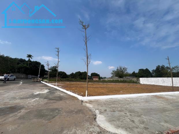 Bán Đất Nền Dự Án tại Xã Cổ Đông, Thị xã Sơn Tây, Hà Nội, 3,2tỷ, 100m2,