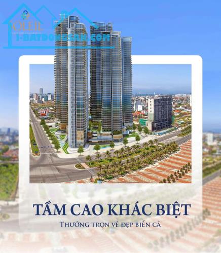 🔥💵Khai thác dòng tiền căn hộ mặt biển lên đến 1,08tỷ/năm. Chiết khấu đến 19%