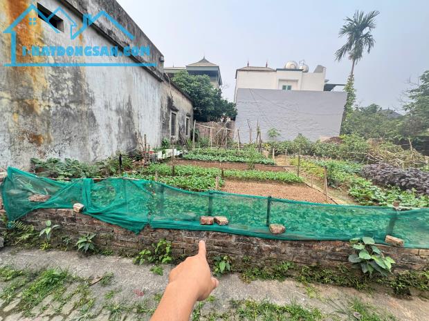 BÁN ĐẤT ĐẸP VĂN KHÊ – TAM HƯNG, THANH OAI DIENj TÍCH 66M2 MẶT TIỀN 5M GIÁ CHỈ 5 TỶ