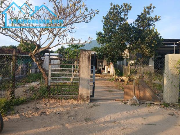 Bán căn nhà vườn Diên Lâm mặt đường nội thôn - tặng vườn cây trái đủ loại