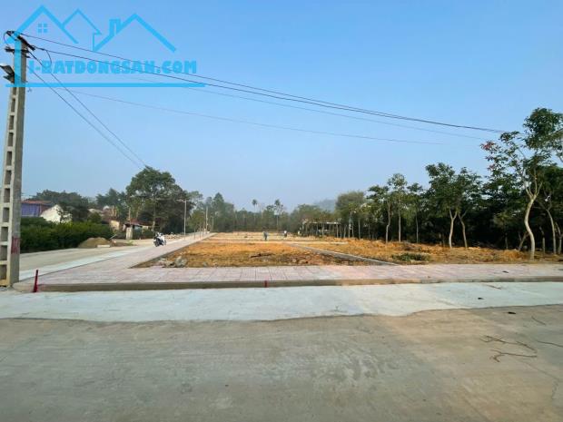 Đất thổ cư sổ đỏ lâu dài sát khu công nghiệp sao vàng
