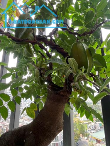 Bán nhà mới hẻm xe tải Nguyễn Thượng Hiền, Bình Thạnh _ Thang máy