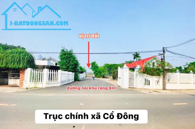 HÀNG HIẾM! LÔ ĐẤT 60M² CỔ ĐÔNG – CẮT LỖ ĐỂ BÁN NHANH