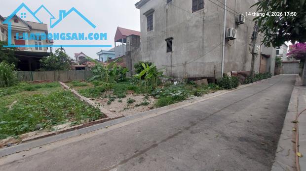 Đất Xuân Nộn, còn 1 lô, 96m2, mt6.5m, ô tô, 5.3 tỷ, Đông Anh.