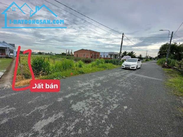 Bán đất MT Lộ Đình, Bình Trưng Đông, Tân Trụ: 5 x 50, giá 1,13 tỷ