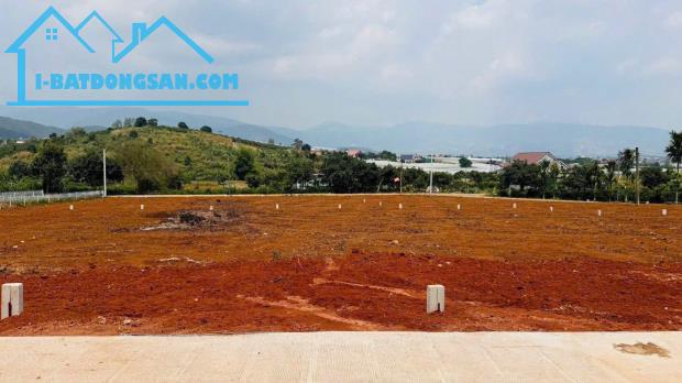 🏡 ĐẤT F0 NAM BAN – VEN Đà Lạt – CHỈ TỪ 650 TRIỆU - 690 TRIỆU🌲