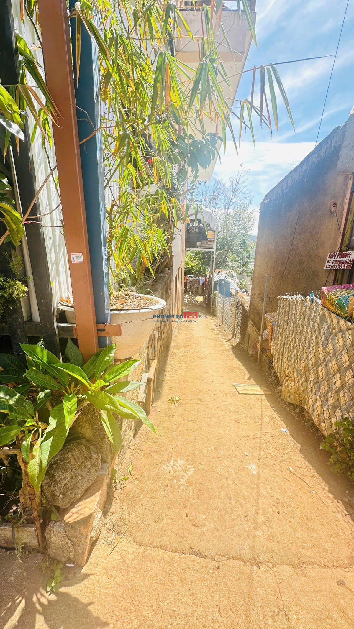 Cho thuê phòng trọ Đa Quý, Xuân Thọ, Đà Lạt