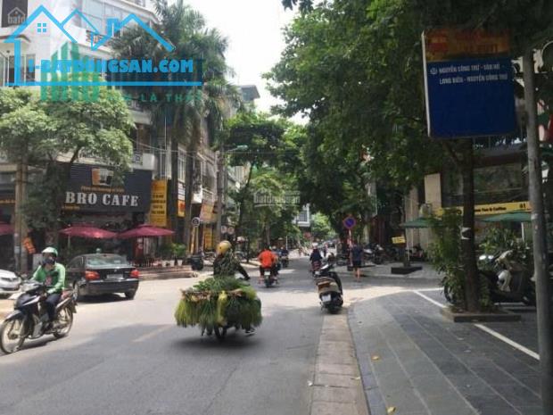 Mặt phố Trần Quang Diệu 35m2, 5 tầng kinh doanh giá 23 tỷ hiếm quận Đống Đa