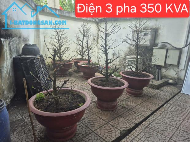 BÁN NHÀ XƯỞNG BÌNH MỸ – CỦ CHI – DÒNG TIỀN 50TR/THÁNG CHỈ NHĨNH 17Đ