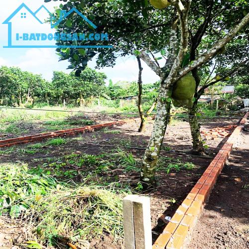 121m2 NGAY DỐC ĐỒN, P BẢO VINH, LONG KHÁNH, ĐN. GIÁ CHỈ 890Tr