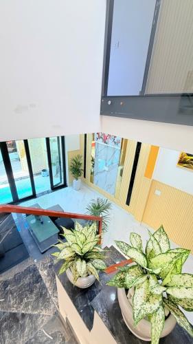 Bán gấp nhà mới gần Celadon- Bình Tân, hẻm thông, nở hậu, 65m, khu dân trí, nhỉnh 5 tỷ.
