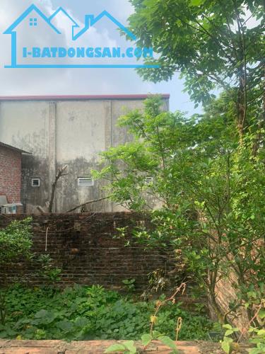 Bán Đất Phú Thượng Tây Hồ Sát Ciputra. 50m Mt 5m. Ô Tô Vào Đất. Giá 11.58 Tỷ.