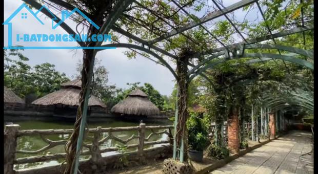 1.4 HA MẶT TIỀN BÌNH PHÚ – THỦ ĐỨC 200 TỶ (~17TR/M²)