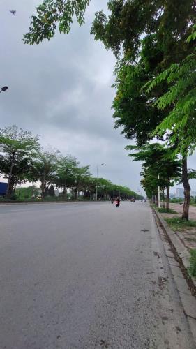 🏡✨ BÁN ĐẤT ĐẤU GIÁ MẬU LƯƠNG – 60M² – PHÂN LÔ VỈA HÈ – MT 5M – GIÁ 12X TỶ (RẺ NHẤT KHU)