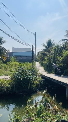 Đất mặt tiền nhựa N5, Tân Mỹ Chánh, Tp Mỹ Tho
